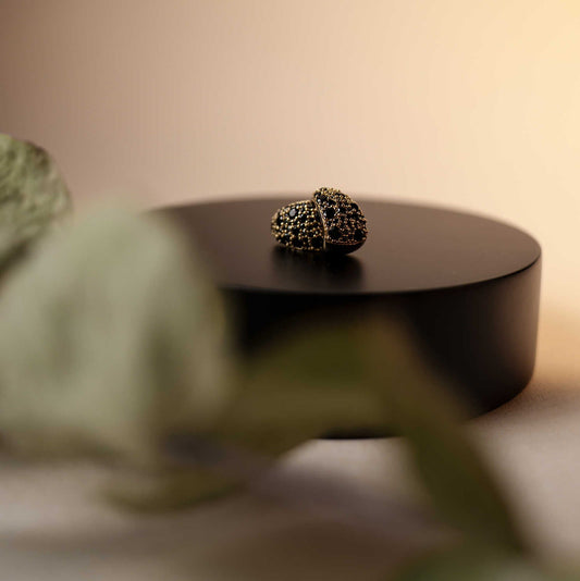 Øredobber i sølv med sort zirkonia 710329 - Bjerveur.noØredobber i sølv med sort zirkonia 710329