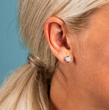 ØREDOBBER I GULL MED DIAMANTER 0,12 CT 59660