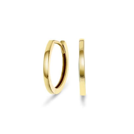 ØRERINGER I GULL 2495186 - Bjerveur.noØRERINGER I GULL 2495186