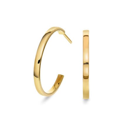 ØRERINGER I GULL MED STIKK 2496092 - Bjerveur.noØRERINGER I GULL MED STIKK 2496092